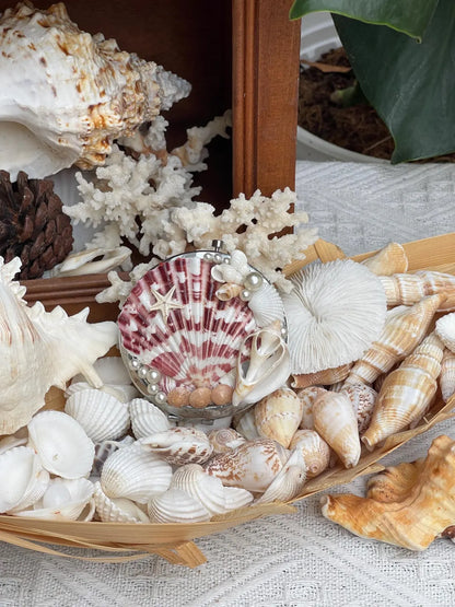 Seashell Compact Mirror