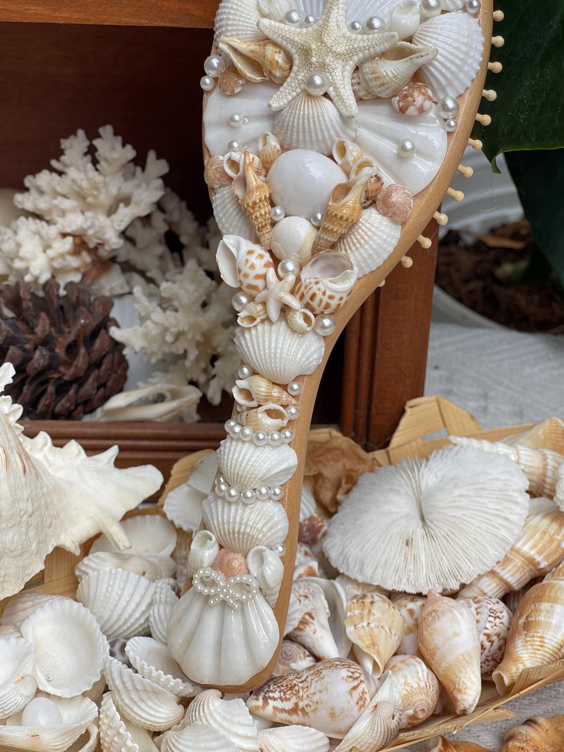 Seashell Hair Brush